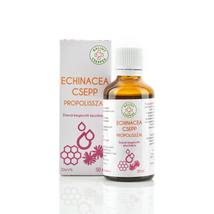 Echinacea csepp propolisszal