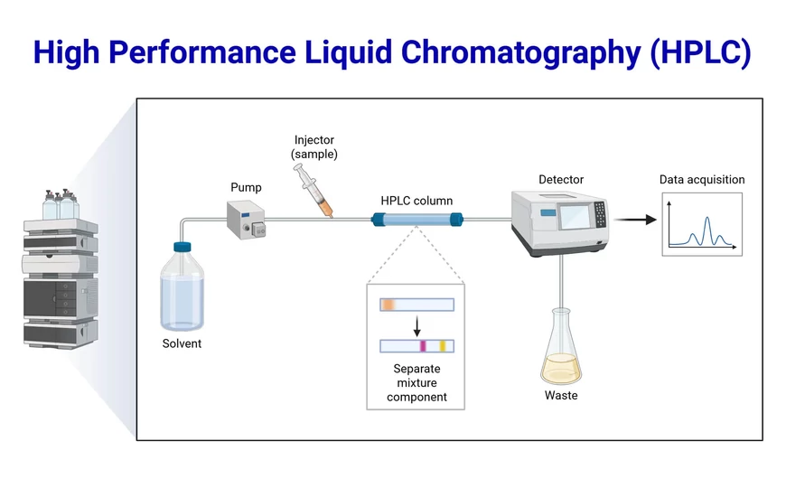 Hogyan garantáljuk az alkoholmentes gyógynövénykivonatok hatékonyságát? – A HPLC vizsgálat titkai