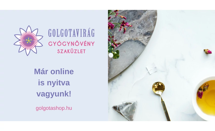 Online felületre léptünk!